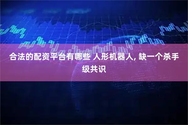 合法的配资平台有哪些 人形机器人, 缺一个杀手级共识