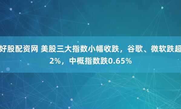 好股配资网 美股三大指数小幅收跌，谷歌、微软跌超2%，中概指数跌0.65%